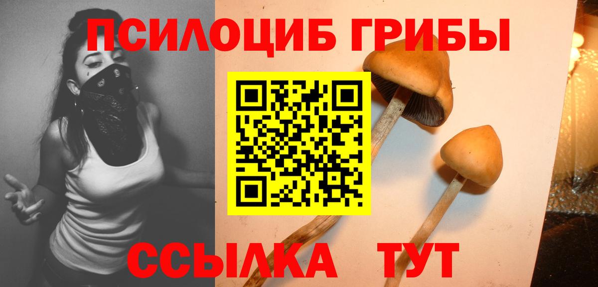 Псилоцибиновые грибы прущие грибы Сибай